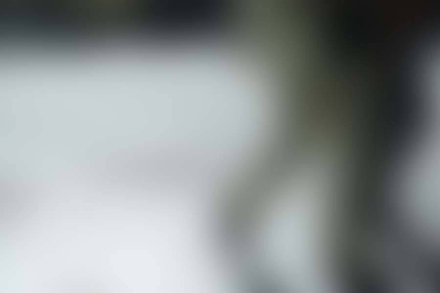 Custom Software Development